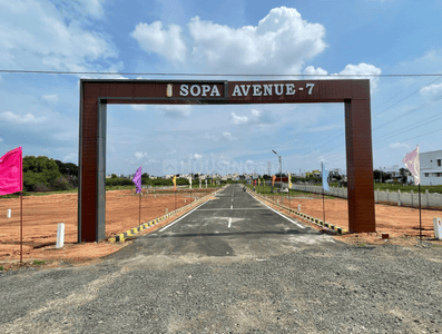 Sopa Avenue 7