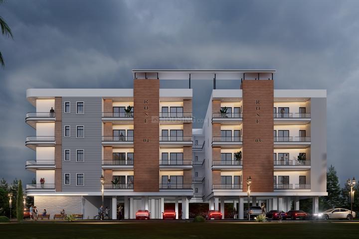 Gallery Cover Pic of AKS Rose 4