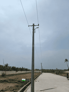 Athithi Jayish Avani Aranya Project Images