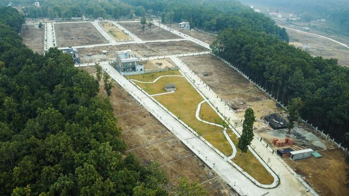 Dishaa Forest Elevation 1