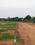 Gallery Cover Pic of Divi My Space 2