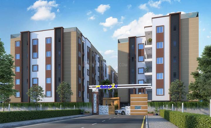 Gallery Cover Pic of Mount Galaxy