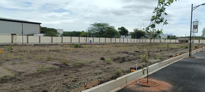 Gallery Cover Pic of Orchid Springs