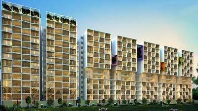 Gallery Cover Pic of Legacy Evania