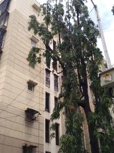 Prathmesh Building More Images 1