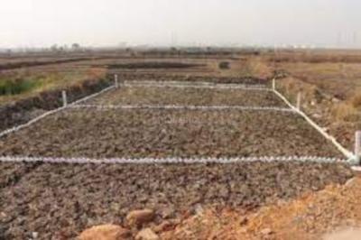 Shree Chirle Project Images