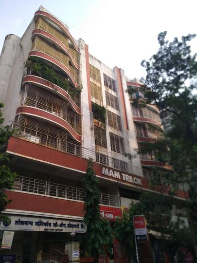 Leela Mam Trilok Images for Project 1