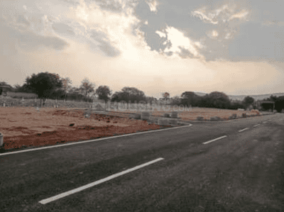 Gallery Cover Pic of Kasim Avenue