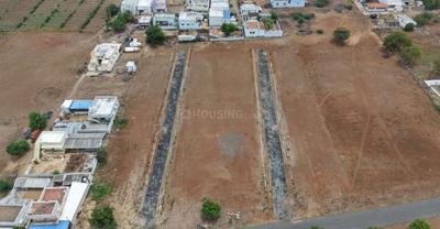 Gallery Cover Pic of Emperumal Nagar