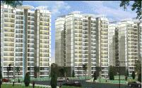 Gallery Cover Image of 700 Sq.ft 1 BHK Independent House for rent in Roots The Orchard, Sector 71 for Rs. 6000