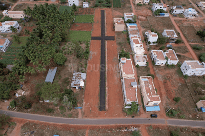 Gallery Cover Pic of AKG Nagar