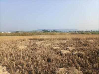 Project Image of 1089 Sq.ft Residential Plot / Land for sale in Pirkone for Rs. 490000