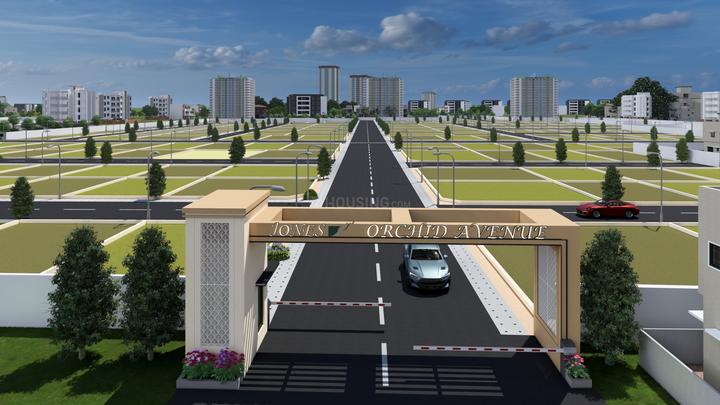 Gallery Cover Pic of Jones Orchid Avenue