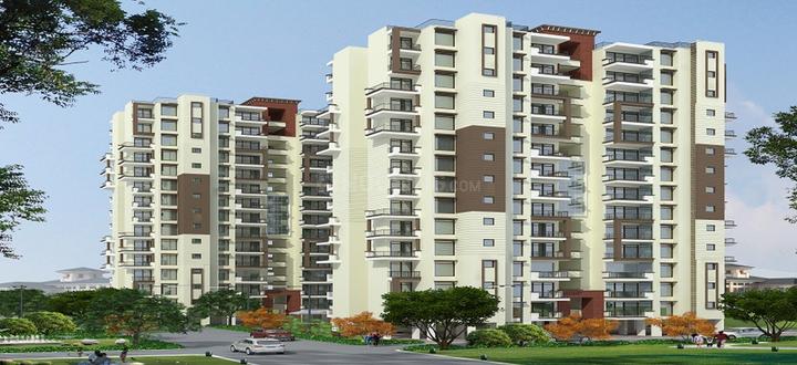 Gallery Cover Pic of Gillco Palms