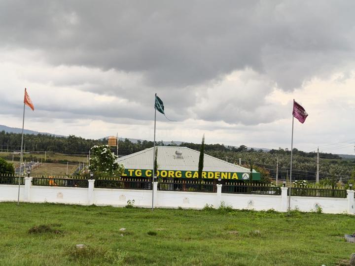 Gallery Cover Pic of LTG Croog Gardenia