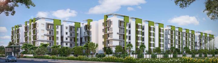 Novus Florence Village Phase 2 Elevation 1