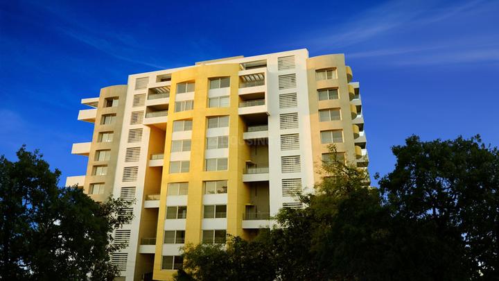 Gallery Cover Pic of Clover Olympus