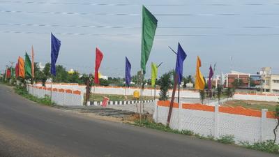 Sunflower Garden Project Images