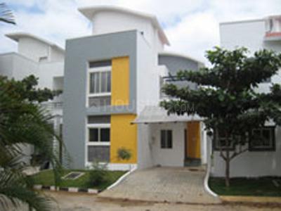 VINTCS Golden Treasure
