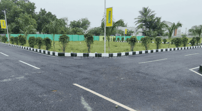 Paradise Avenue Project Images