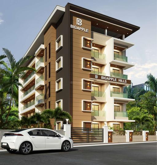 Gallery Cover Pic of Bigapple Hills