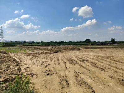 Virasat Royal Paradise Green Project Images