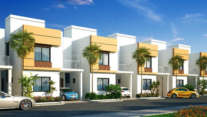 Gallery Cover Pic of DABC Camellia