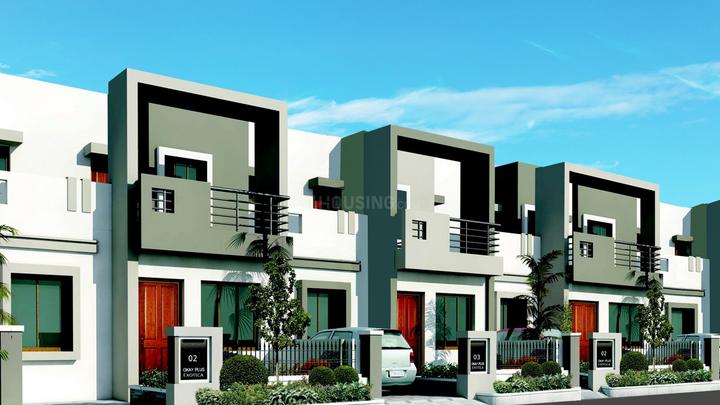 Okay Plus Exotica More Images 1