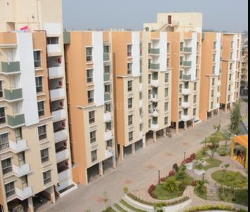 Avinash Pride Phase 2 Project Images