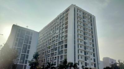 Gallery Cover Pic of Fomra Hues