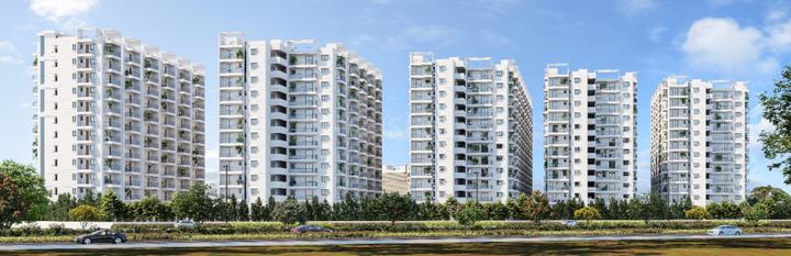 Gallery Cover Pic of Speed Sanarelli