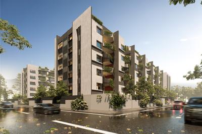 Cincos Crown Project Images