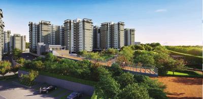 Gallery Cover Pic of Provident Equinox