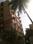 Gallery Cover Pic of Aparna Palm Grove