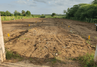 Singar Nagar Sasikala Avenue Project Images