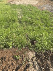 Residential Lands for Sale in Silent Green