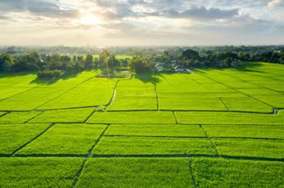 Wadhwa Heirloom Land