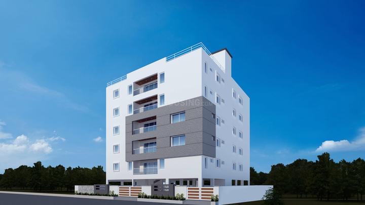 Gallery Cover Pic of Edifice Tulip