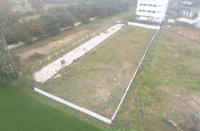 Chellaiyah Garden Project Images