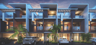 Yogesh Gandharv Marigold RH 13 To 18