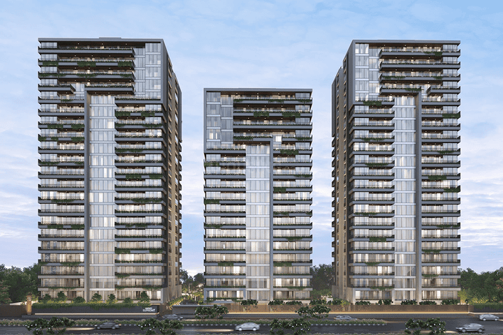 Gallery Cover Pic of SV Harved Supremo