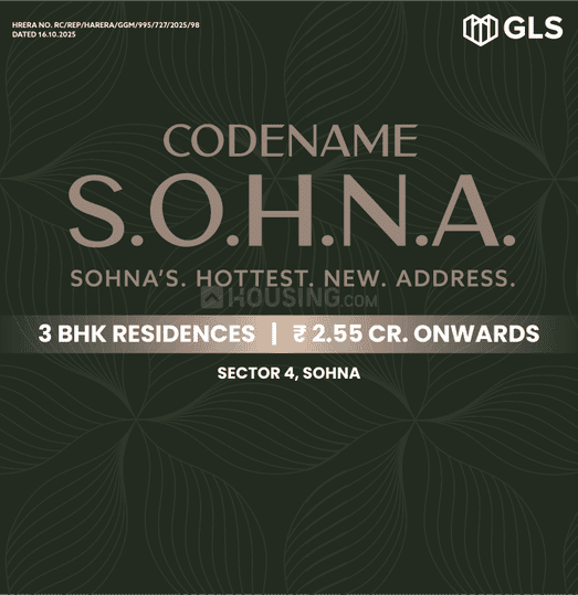 Gallery Cover Pic of GLS Codename S O H N A