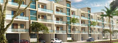 Project Images