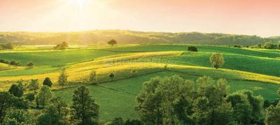Project Image of 1500 Sq.ft Residential Plot / Land for sale in Setterahally for Rs. 11500000