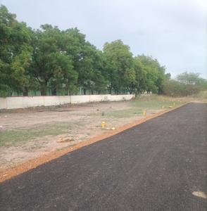 Gallery Cover Pic of Amma Nagar
