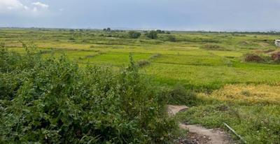 High Plots in Chirle Project Images