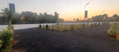 Empire Narayana La Lee Plot Project Images