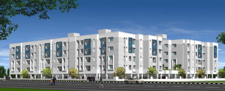 Gallery Cover Pic of DABC Begonia