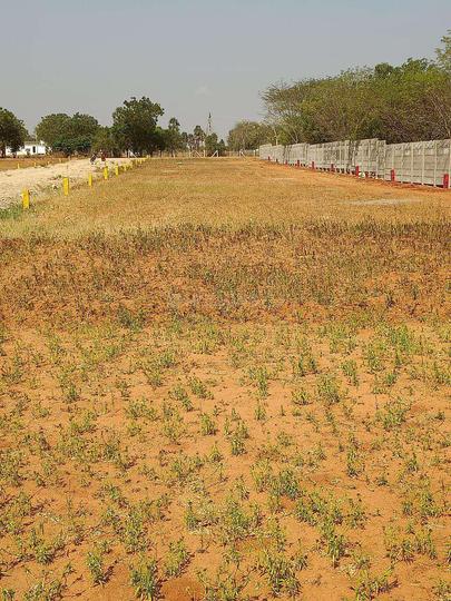 Gallery Cover Pic of Sriram Nagar