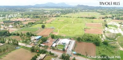 Provident Tivoli Hills Phase 1 Elevation 1